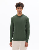 Regular Fit 100% Wool Solid Crew Neck Sweaters