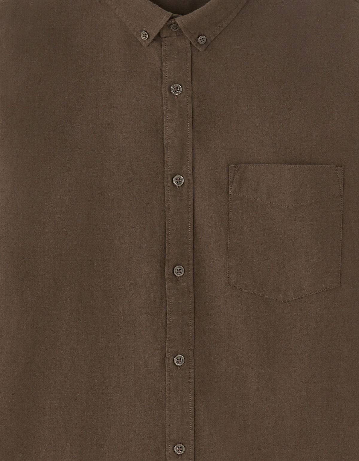 Regular Fit 100% Cotton Solid Spread Collar Shirts - Brown