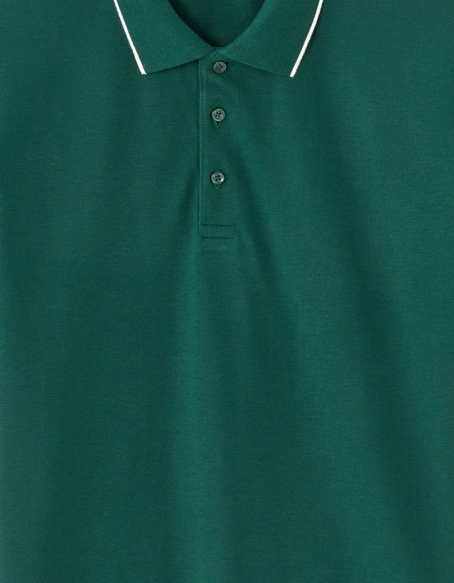 Regular Fit 100% Cotton T-Shirt - Dark Green
