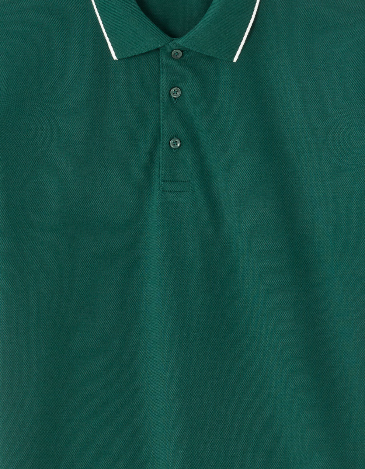 Regular Fit 100% Cotton T-Shirt - Dark Green