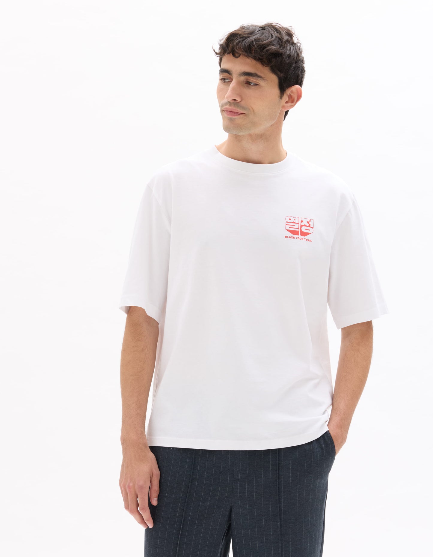 Regular Fit 100% Cotton Solid Round Neck T-Shirt - White