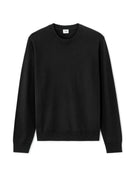 Regular Fit Poly Viscose Solid Crew Neck Sweaters - Black