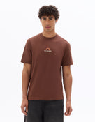 Boxy Fit 100% Cotton Printed Crew Neck T-Shirt - Brown