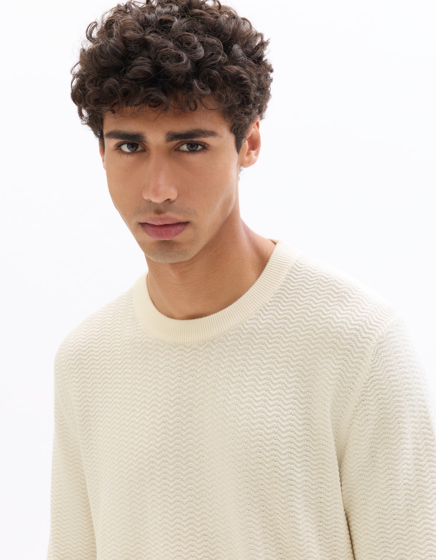 Regular Fit 100% Cotton Crew Neck Sweaters - Off White