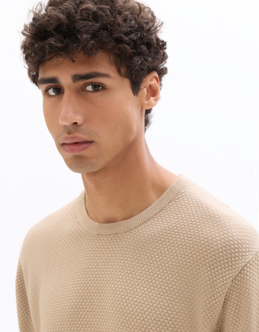 Regular Fit 100% Cotton Crew Neck T-Shirt - Beige