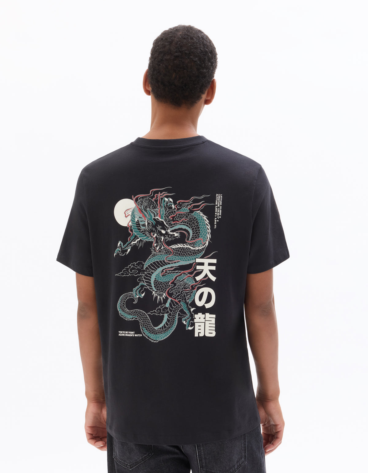 Regular Fit 100% Cotton Printed Crew Neck T-Shirts - Black