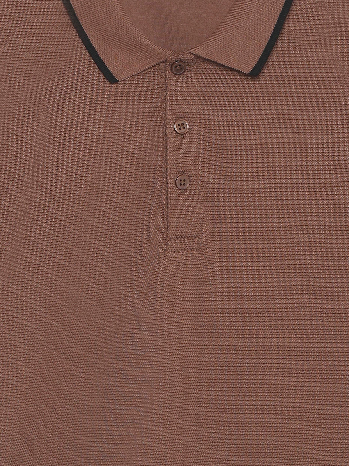 Regular Fit 100% Cotton T-Shirt - Brown