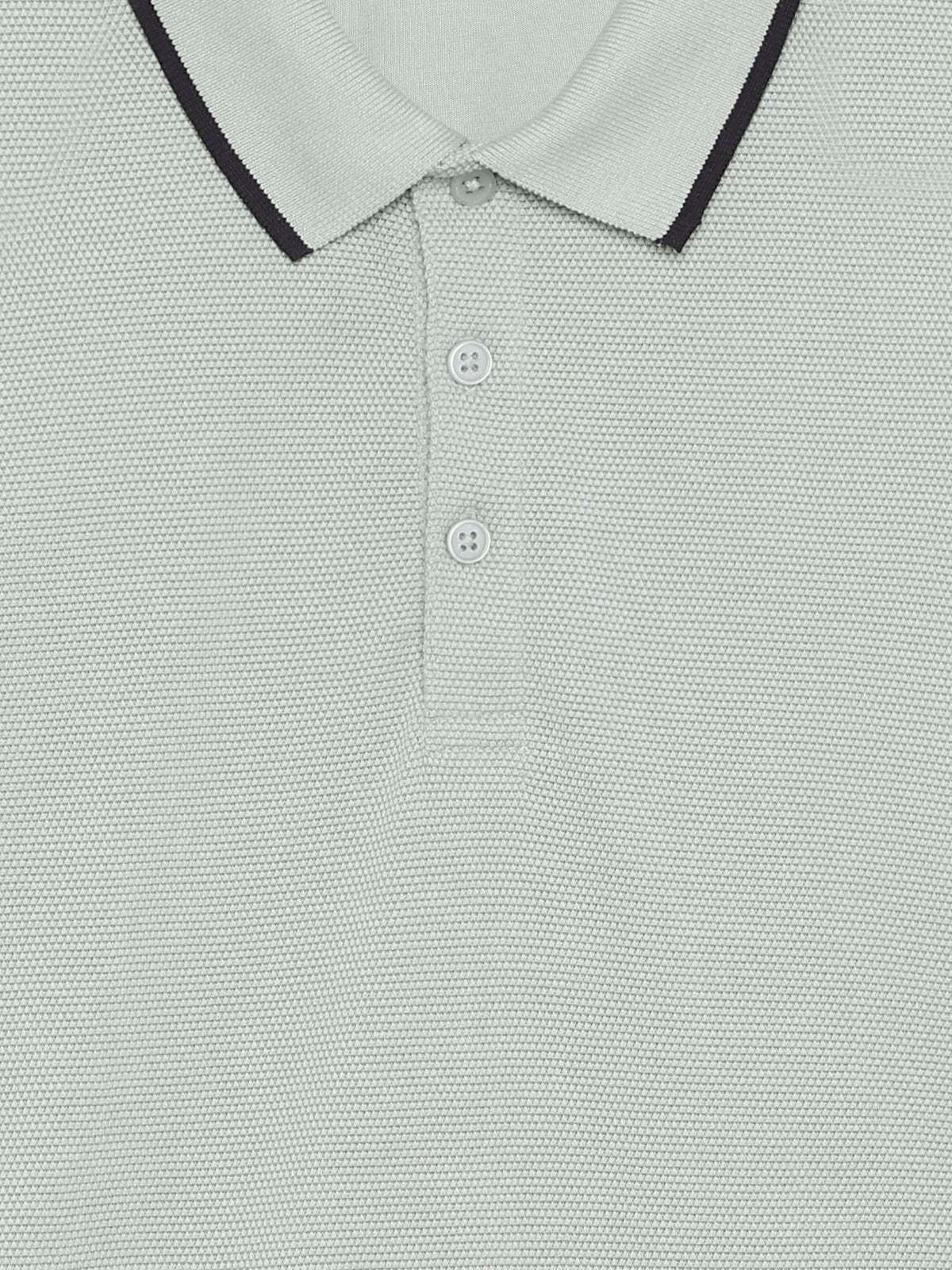 Regular Fit 100% Cotton T-Shirt - Green