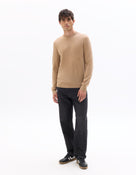 Regular Fit 100% Wool Solid Crew Neck Sweaters