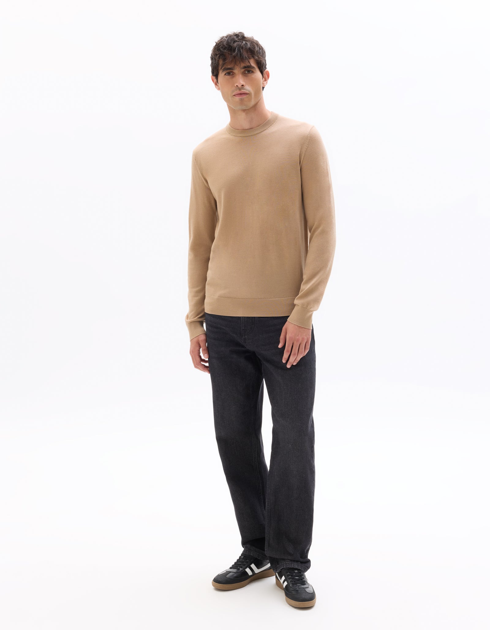 Regular Fit 100% Wool Solid Crew Neck Sweaters