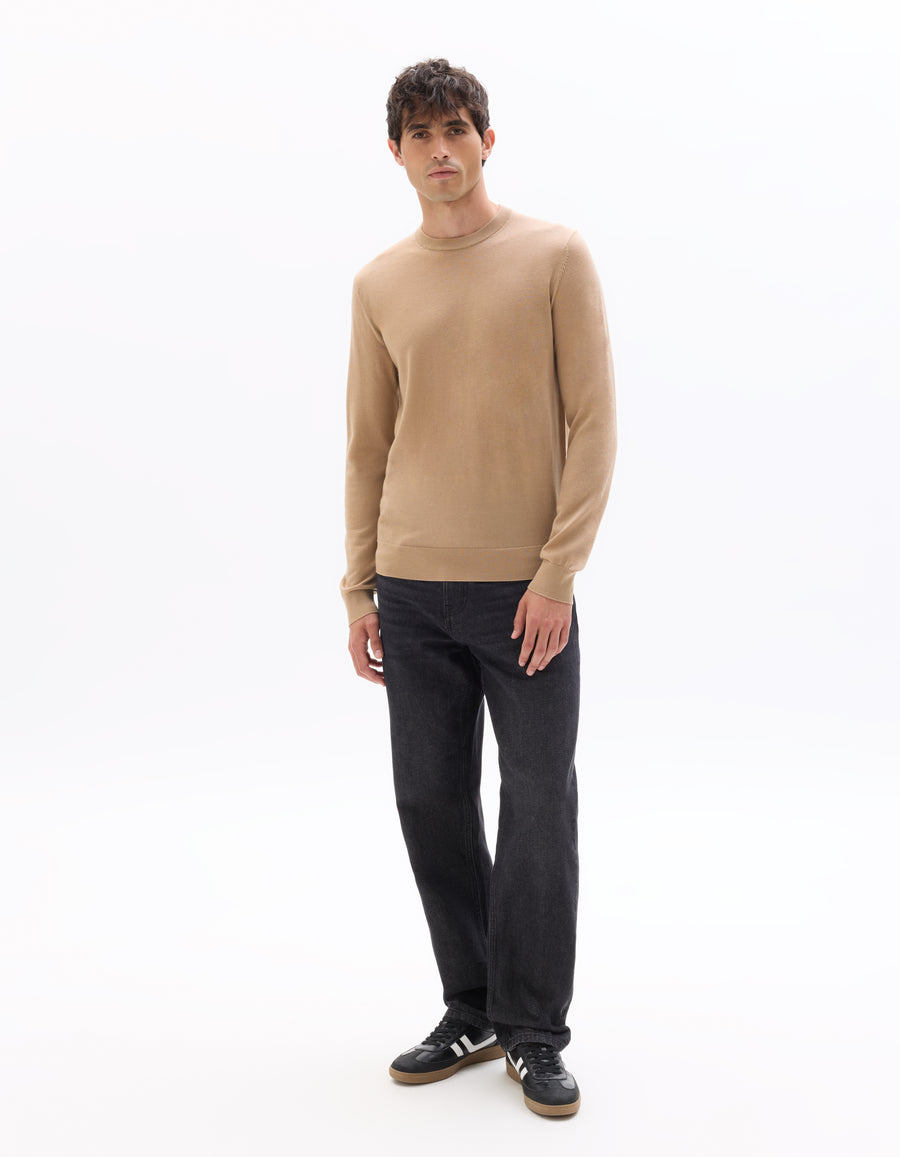 Regular Fit 100% Wool Solid Crew Neck Sweaters