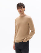 Regular Fit 100% Wool Solid Crew Neck Sweaters