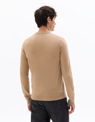 Regular Fit 100% Wool Solid Crew Neck Sweaters