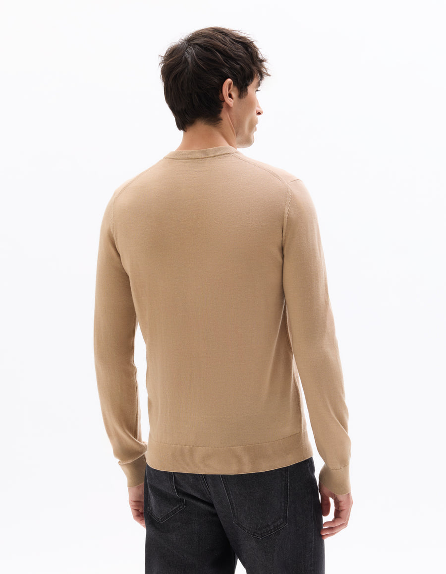 Regular Fit 100% Wool Solid Crew Neck Sweaters
