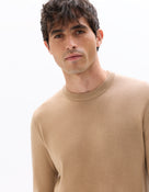 Regular Fit 100% Wool Solid Crew Neck Sweaters