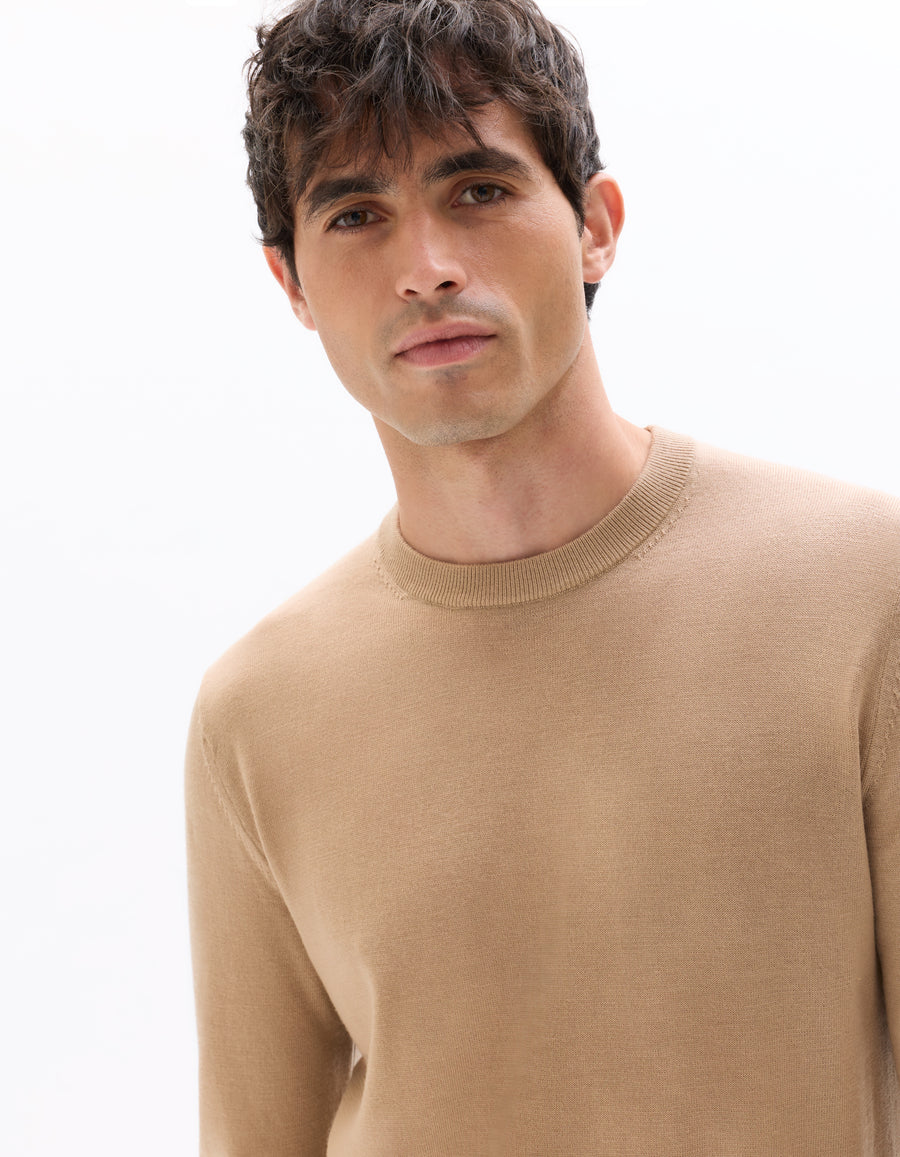 Regular Fit 100% Wool Solid Crew Neck Sweaters