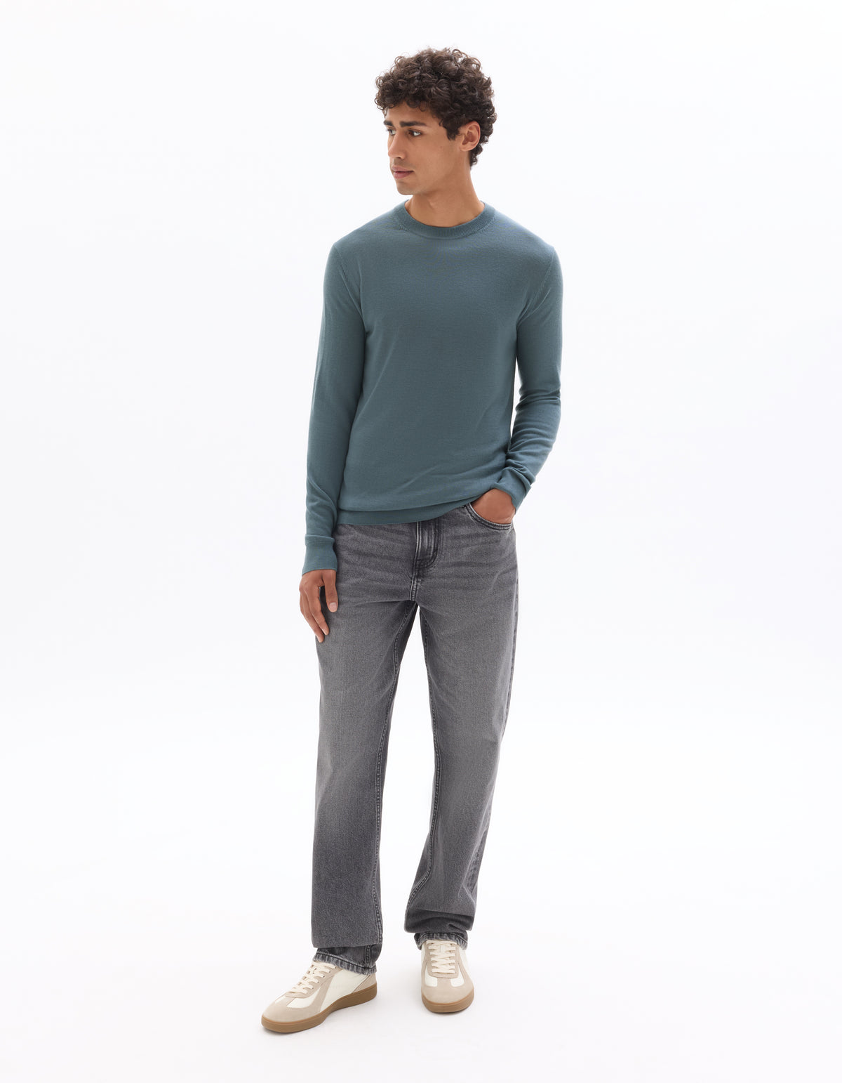 Regular Fit 100% Wool Solid Crew Neck Sweaters