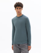 Regular Fit 100% Wool Solid Crew Neck Sweaters