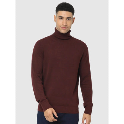 Maroon Solid Cotton Blend Sweater