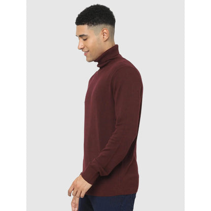 Maroon Solid Cotton Blend Sweater