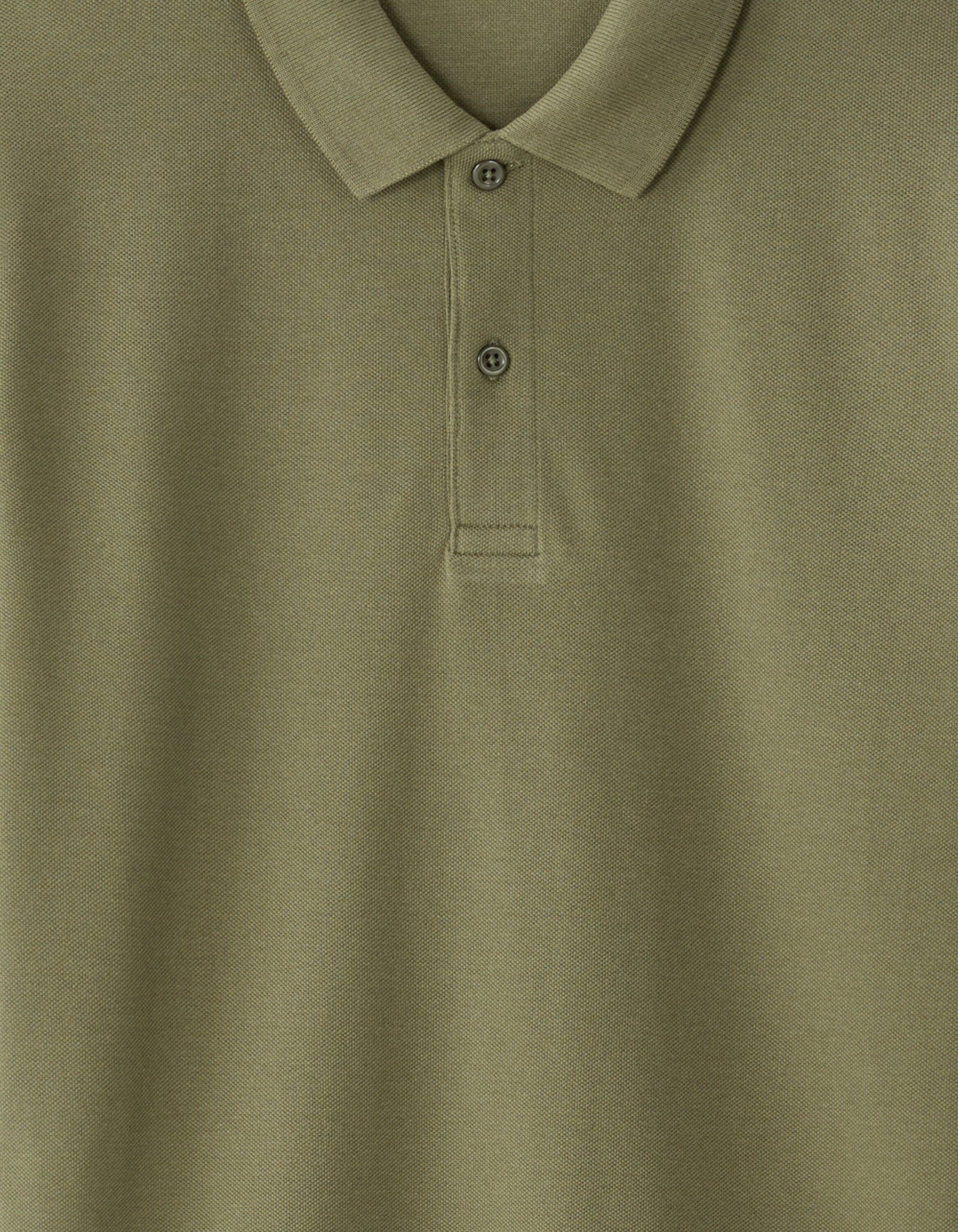 Slim Fit 100% Cotton Solid Polo Collar T-Shirts - Olive