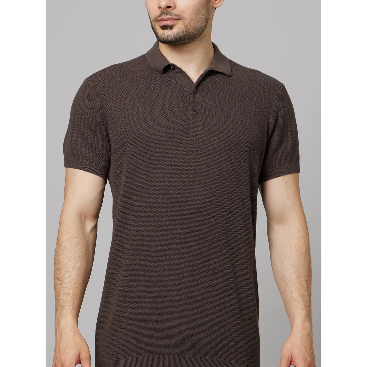 Brown Solid Cotton Polo