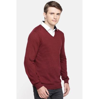 Purple Solid Cotton Blend Sweater