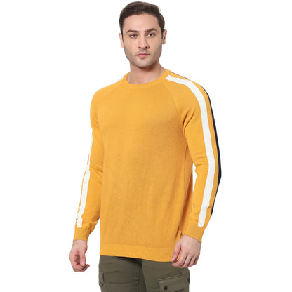 Mustard Solid Cotton Sweater