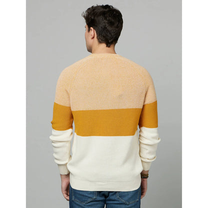 Yellow Colourblock Cotton Sweater