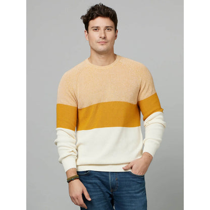 Yellow Colourblock Cotton Sweater