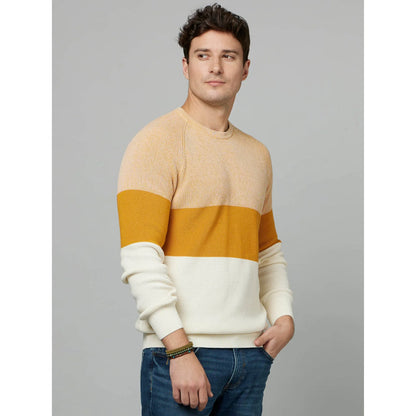 Yellow Colourblock Cotton Sweater