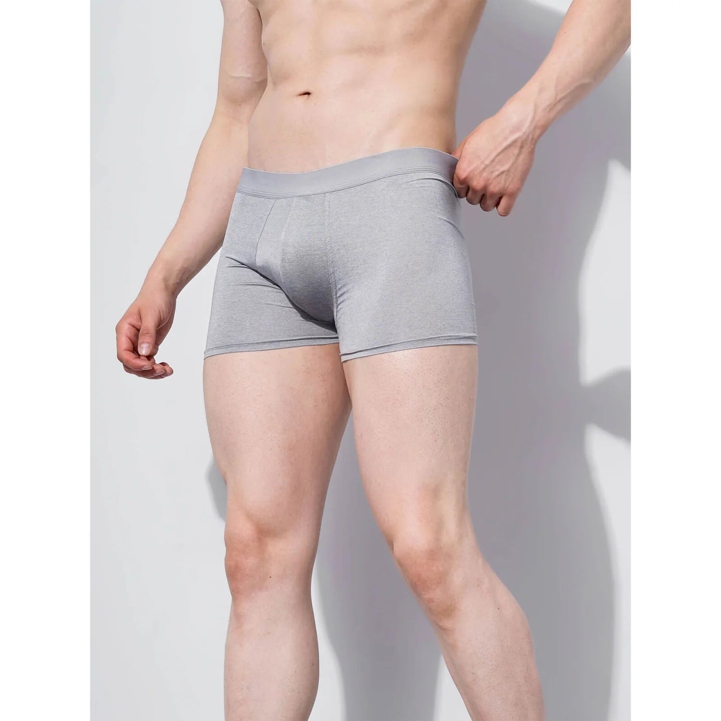 Grey Regular Fit Boxer