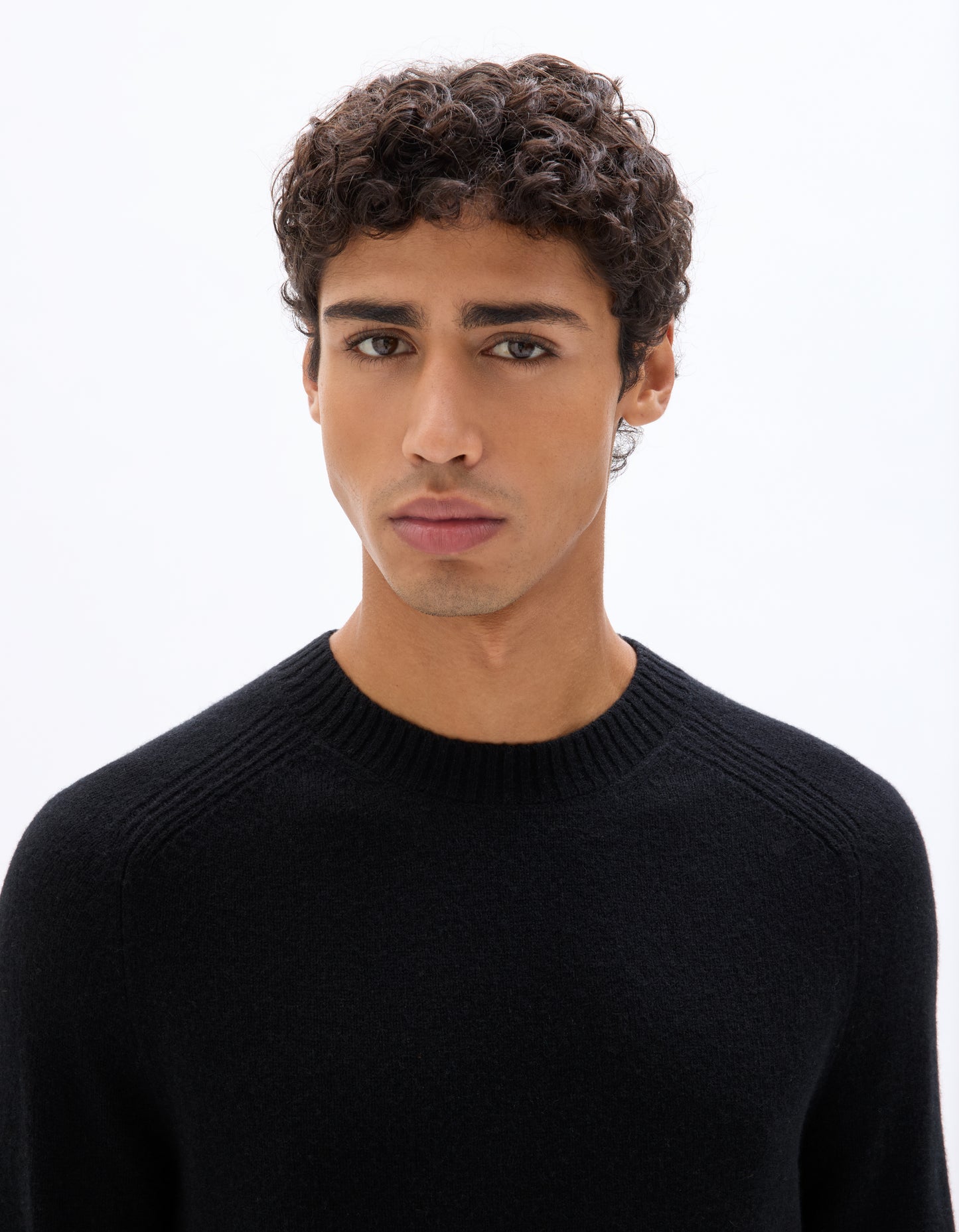 Regular Fit 100% Wool Solid Crew Neck Sweaters