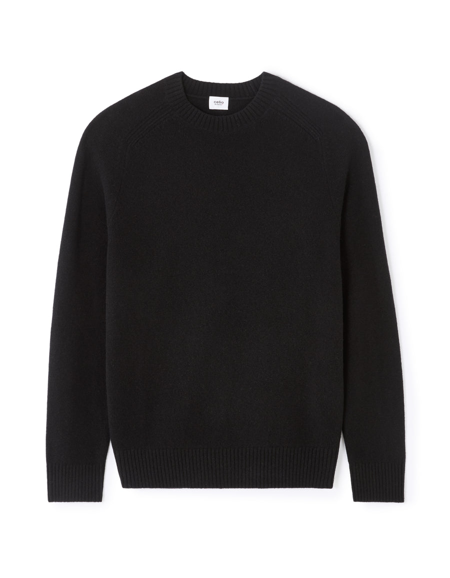 Regular Fit 100% Wool Solid Crew Neck Sweaters
