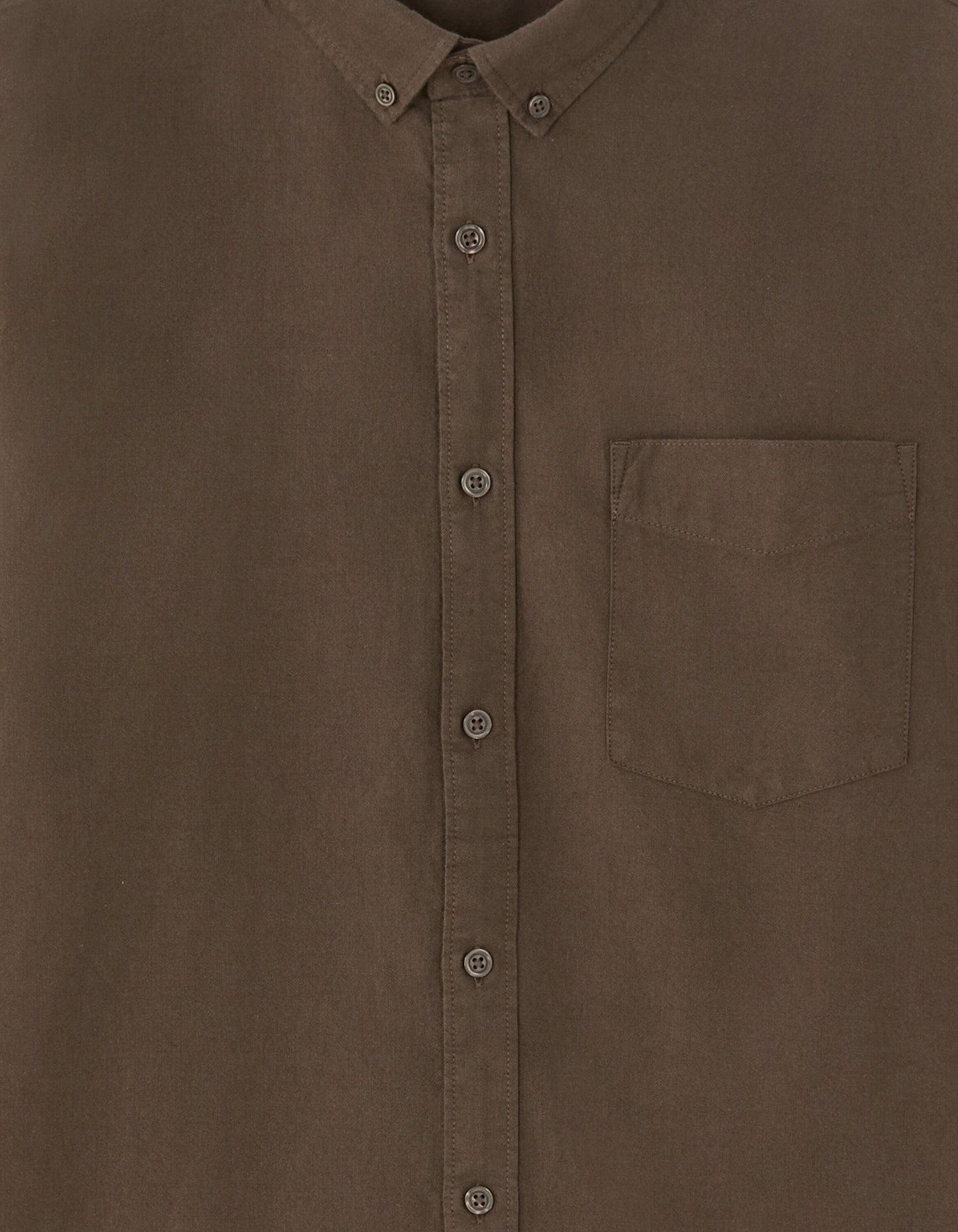 Regular Fit 100% Cotton Solid Spread Collar Shirts - Brown
