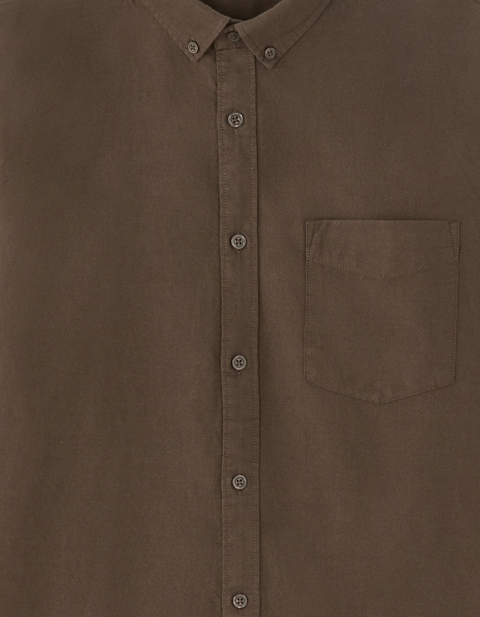Regular Fit 100% Cotton Solid Spread Collar Shirts - Brown