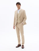 Slim Fit Poly Viscose Formal Trousers - Beige