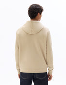 Regular Fit 100% Cotton Solid Hooded Sweatshirts