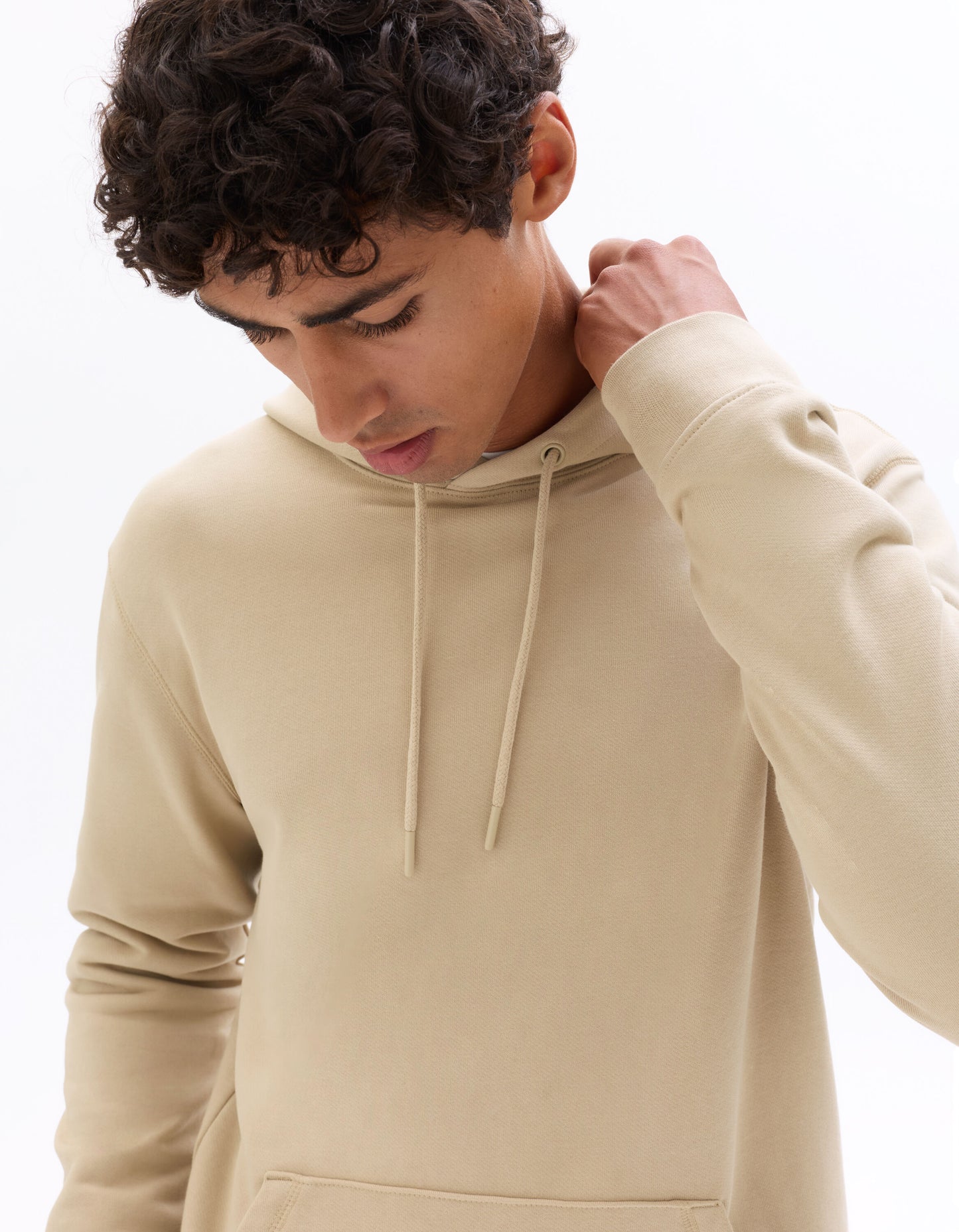 Regular Fit 100% Cotton Solid Hooded Sweatshirts