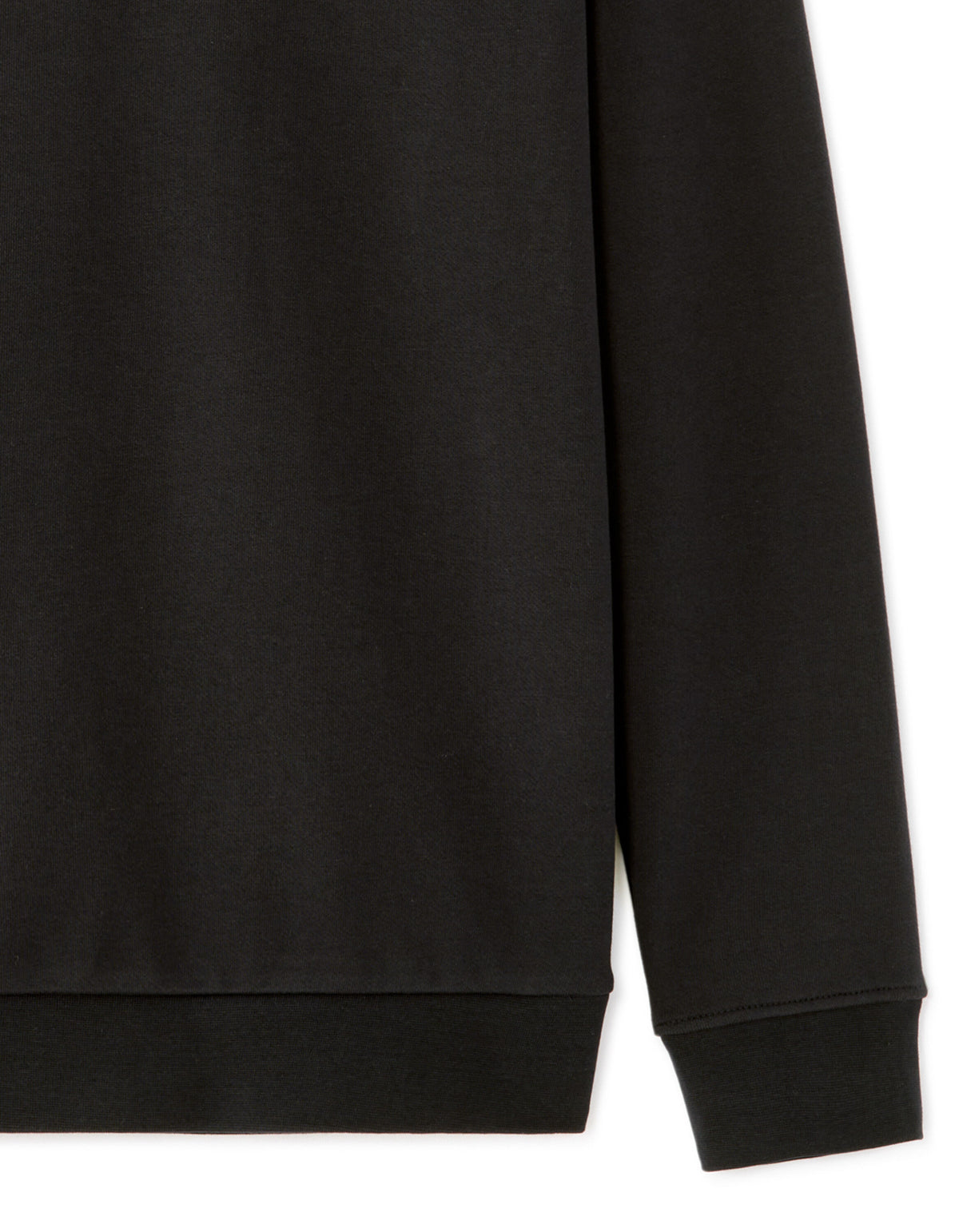 Regular Fit 100% Cotton Crew Neck Sweater - Black