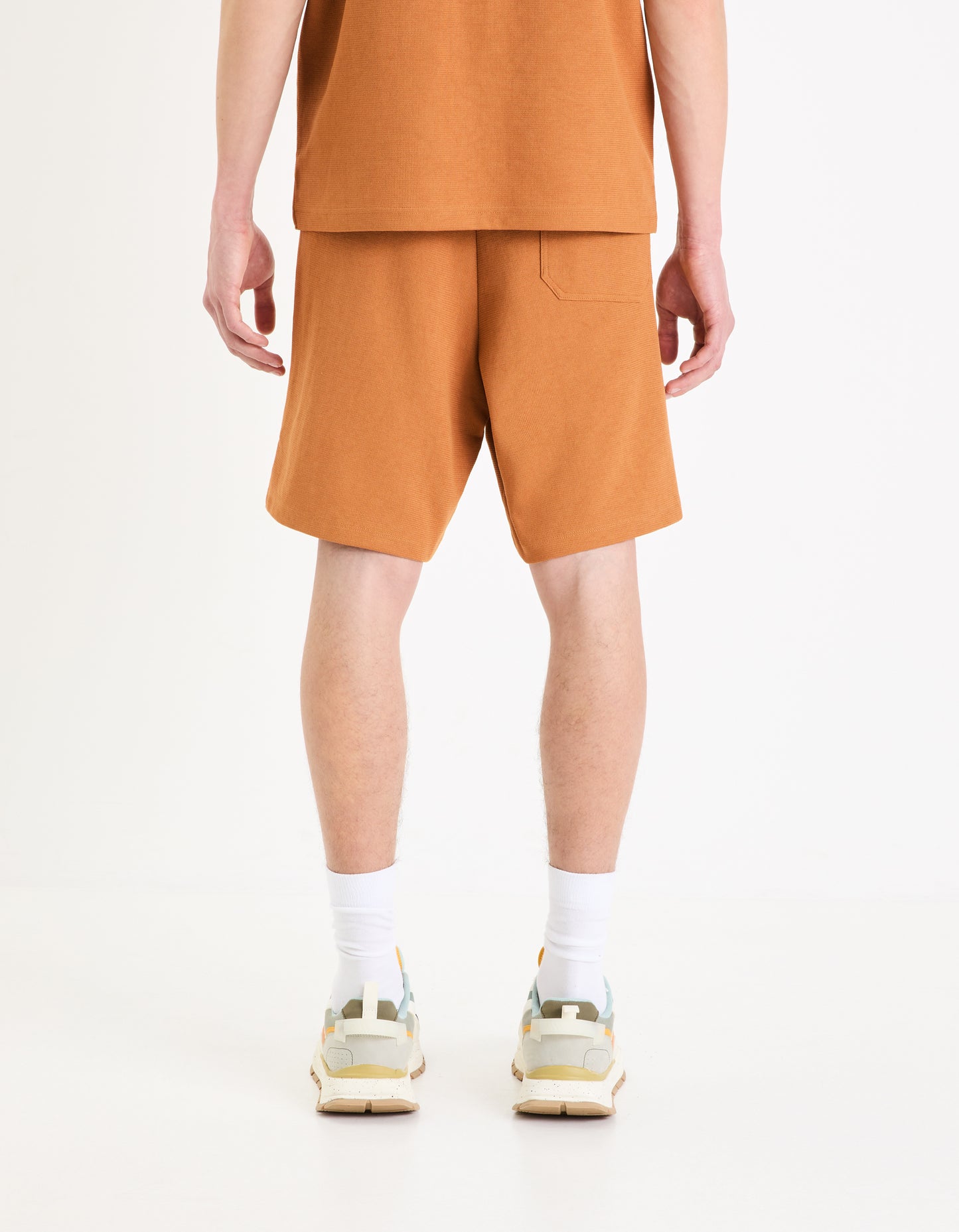 Brown Regular Fit Shorts