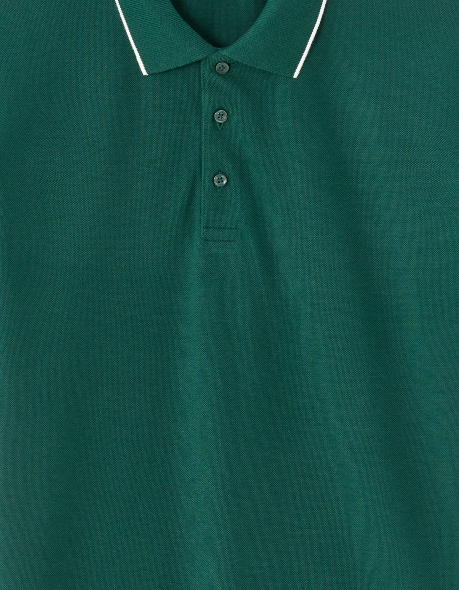 Regular Fit 100% Cotton T-Shirt - Dark Green