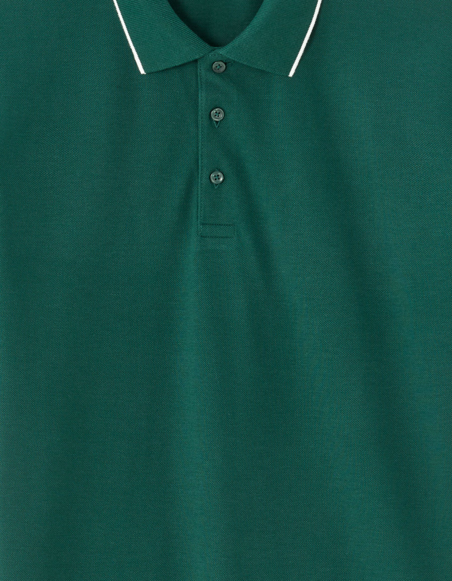 Regular Fit 100% Cotton T-Shirt - Dark Green
