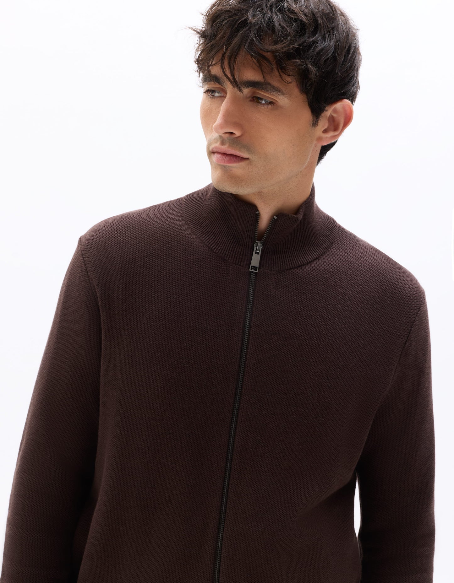 Regular Fit 100% Cotton High Neck Sweaters - Brown