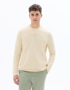 Regular Fit Poly-Cotton Solid Round neck Sweaters