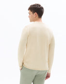Regular Fit Poly-Cotton Solid Round neck Sweaters