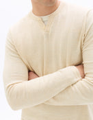 Regular Fit Poly-Cotton Solid Round neck Sweaters