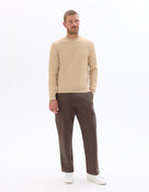 Regular Fit Poly-Cotton Textured Crew Neck Sweaters - Beige