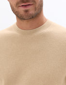 Regular Fit Poly-Cotton Textured Crew Neck Sweaters - Beige