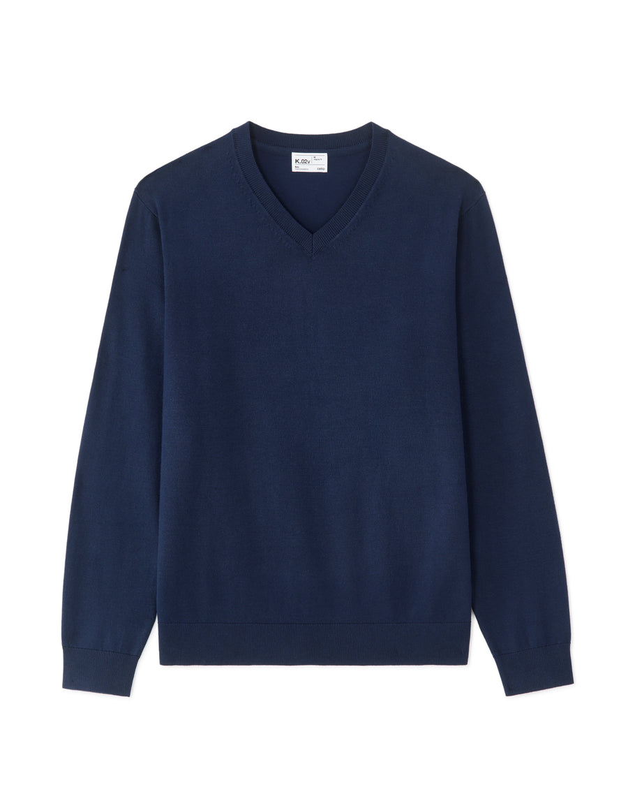 Regular Fit Poly Viscose Solid V Neck Sweaters - Navy Blue